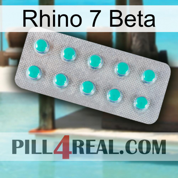 Rhino 7 Beta 28.jpg